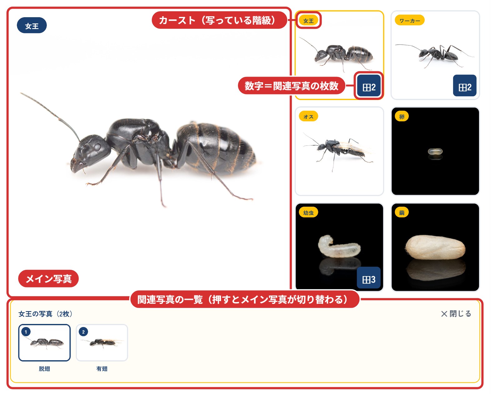 写真の見方