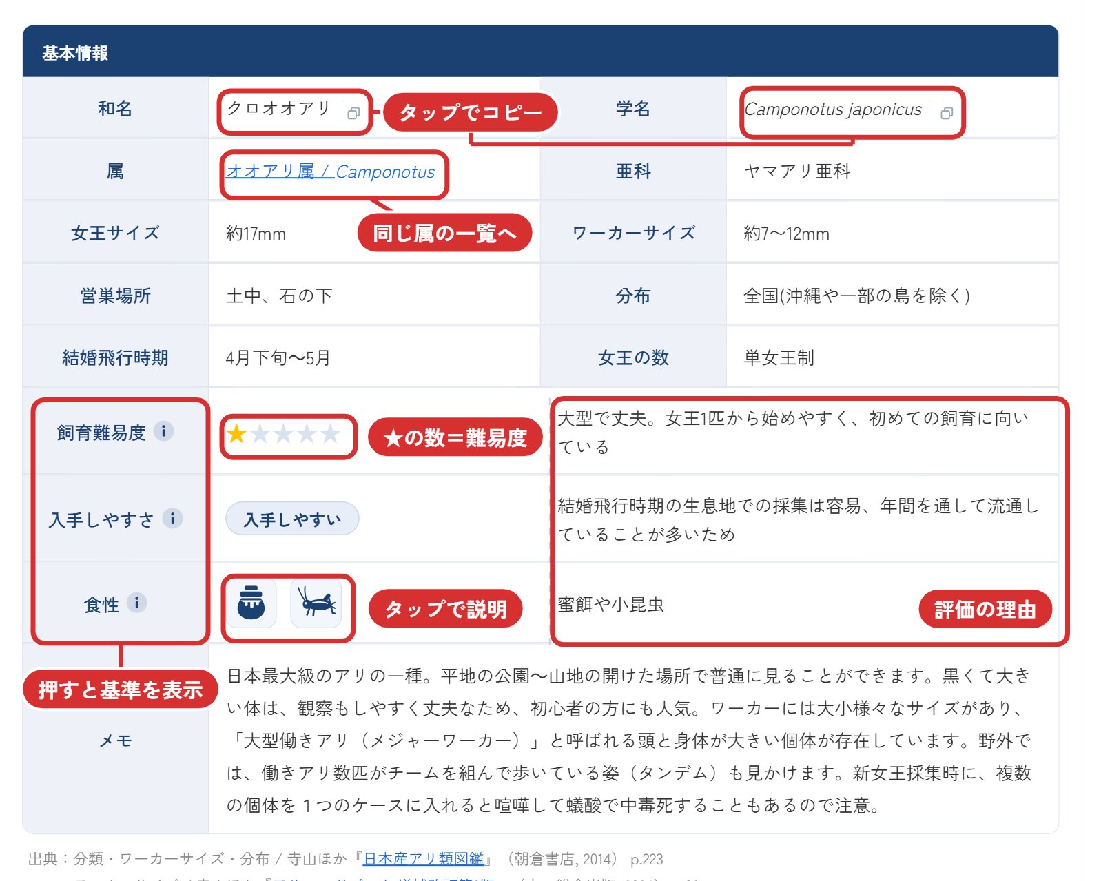 基本情報の表の見方